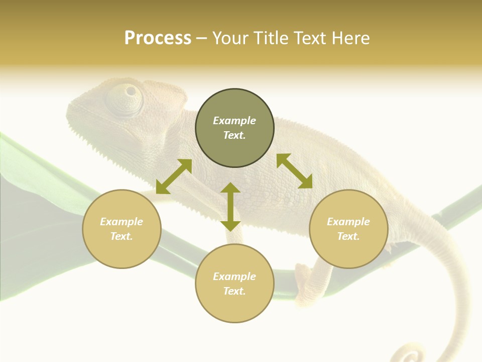 Summer Season Emotional PowerPoint Template