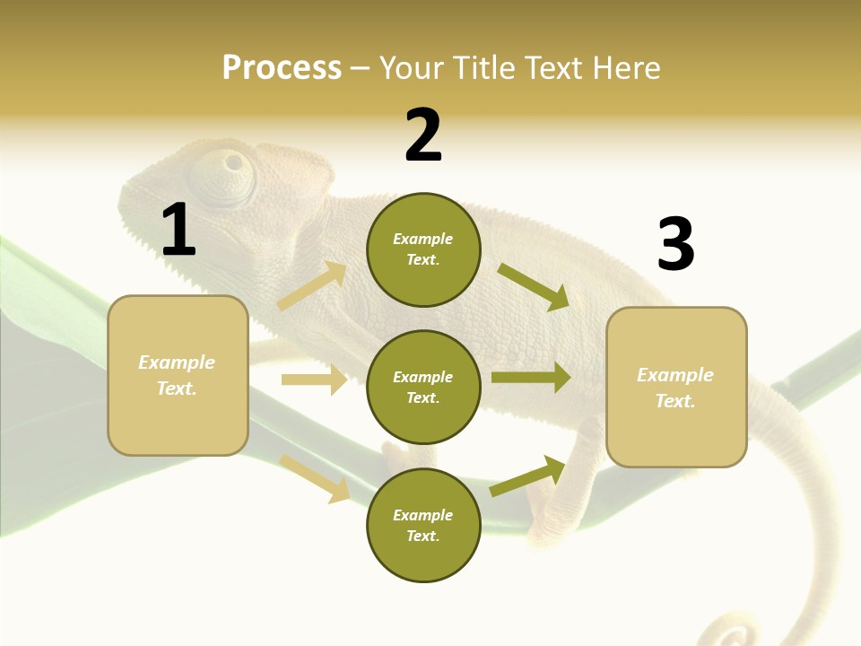 Summer Season Emotional PowerPoint Template