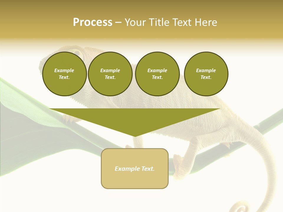 Summer Season Emotional PowerPoint Template