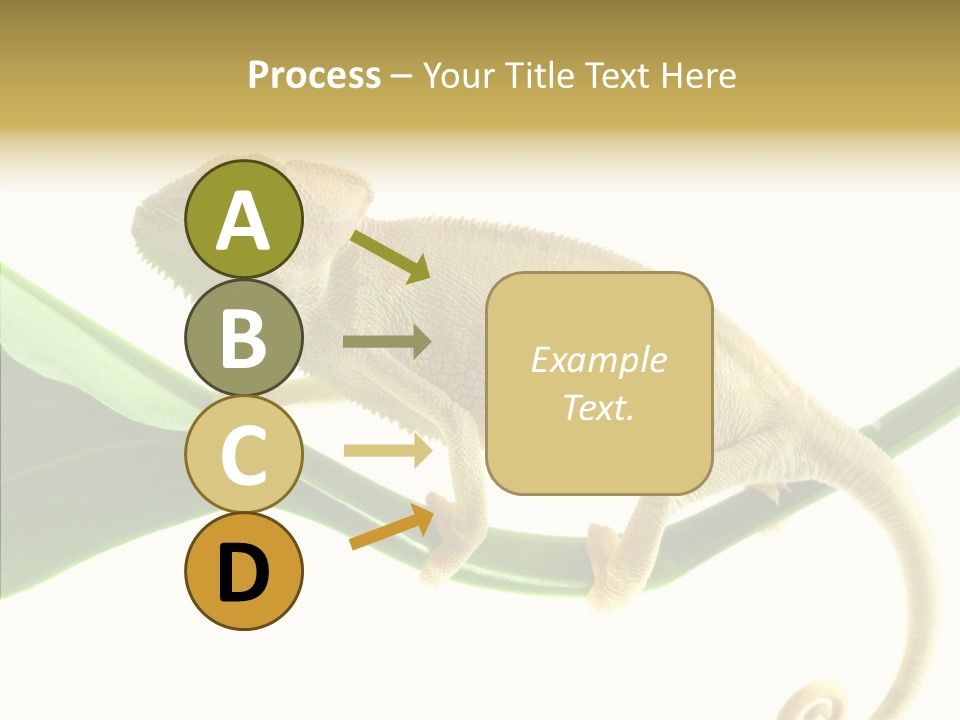 Summer Season Emotional PowerPoint Template