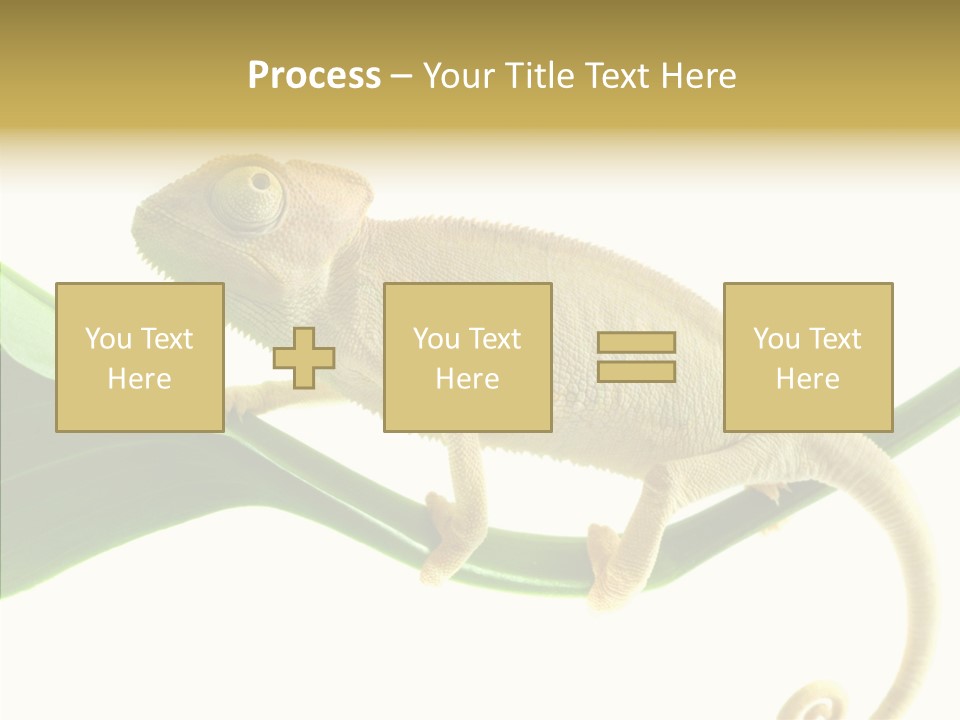 Summer Season Emotional PowerPoint Template