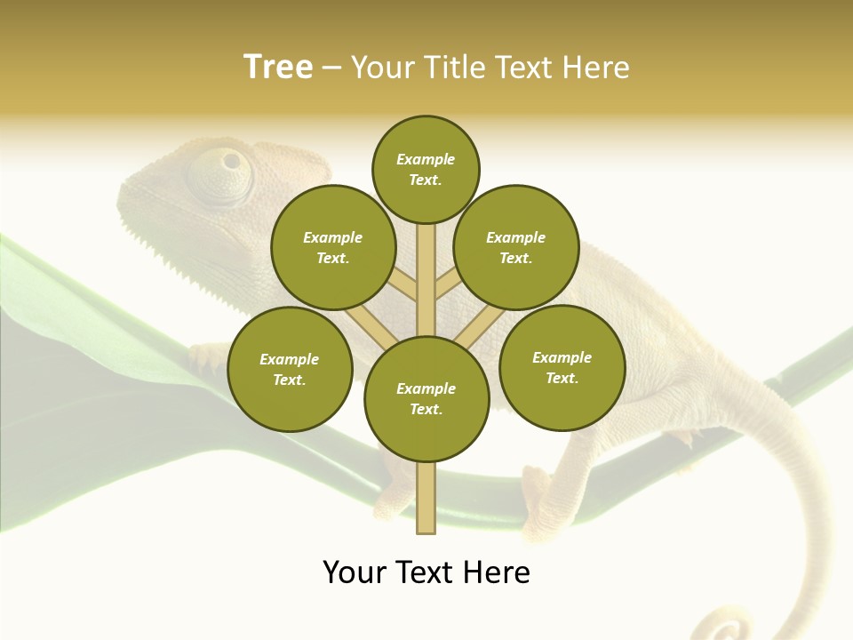 Summer Season Emotional PowerPoint Template