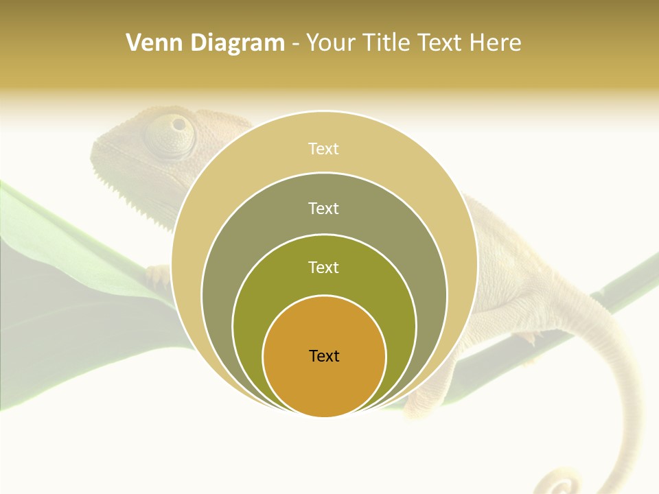 Summer Season Emotional PowerPoint Template