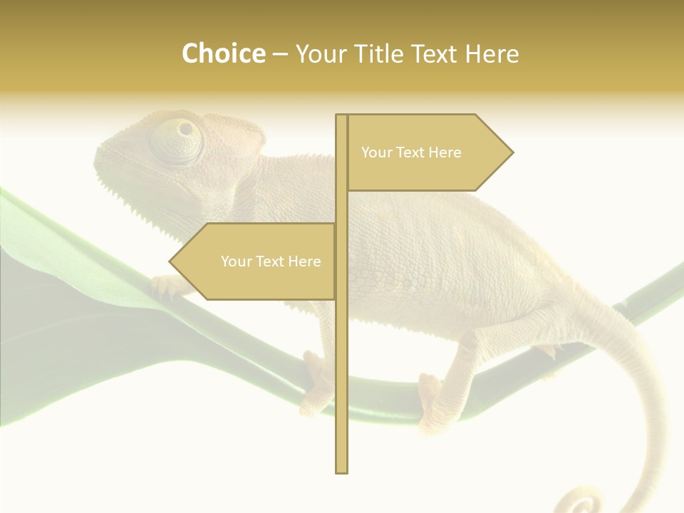 Summer Season Emotional PowerPoint Template