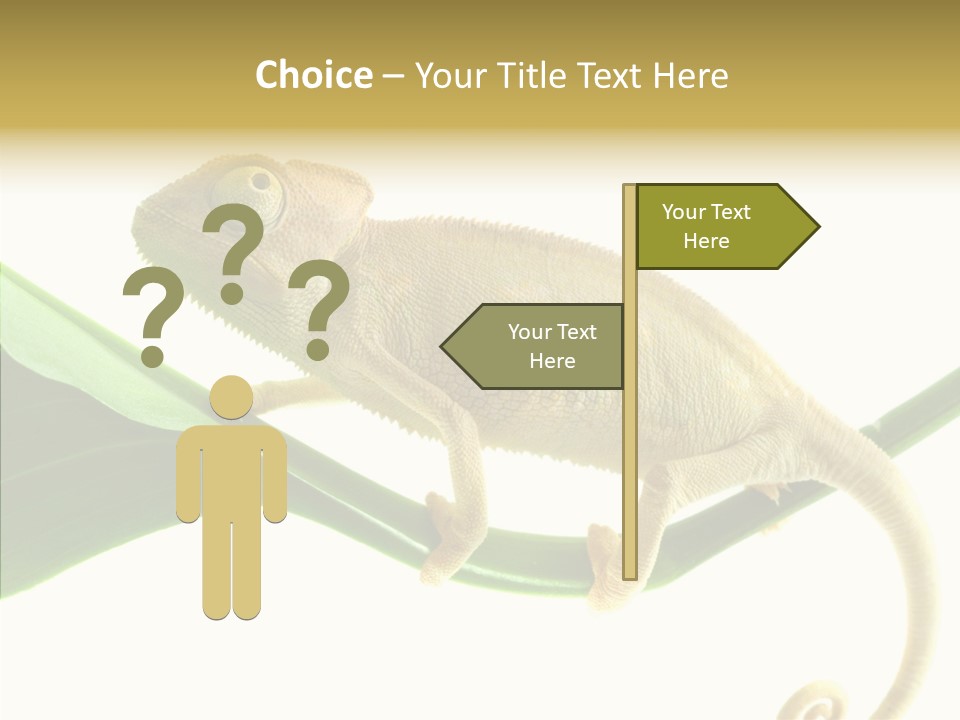 Summer Season Emotional PowerPoint Template