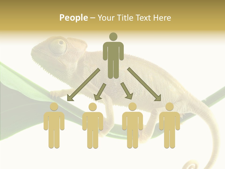 Summer Season Emotional PowerPoint Template