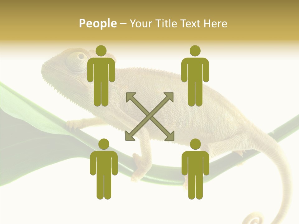 Summer Season Emotional PowerPoint Template