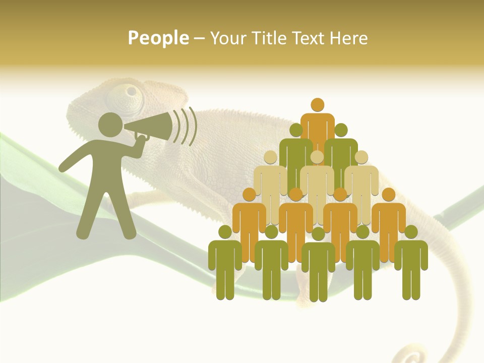 Summer Season Emotional PowerPoint Template