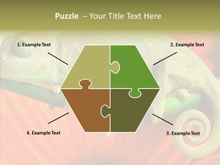 Chameleon On Flower. Isolation On White PowerPoint Template