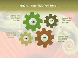 Chameleon On Flower. Isolation On White PowerPoint Template