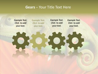 Chameleon On Flower. Isolation On White PowerPoint Template