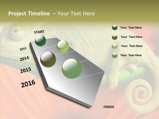 Chameleon On Flower. Isolation On White PowerPoint Template