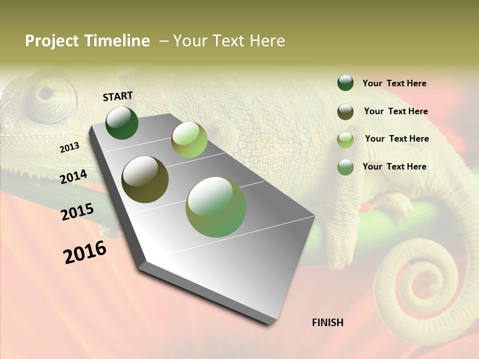 Chameleon On Flower. Isolation On White PowerPoint Template