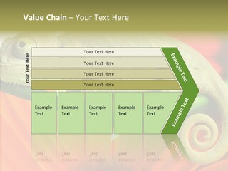 Chameleon On Flower. Isolation On White PowerPoint Template