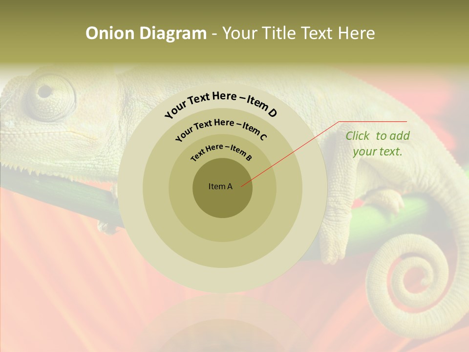 Chameleon On Flower. Isolation On White PowerPoint Template
