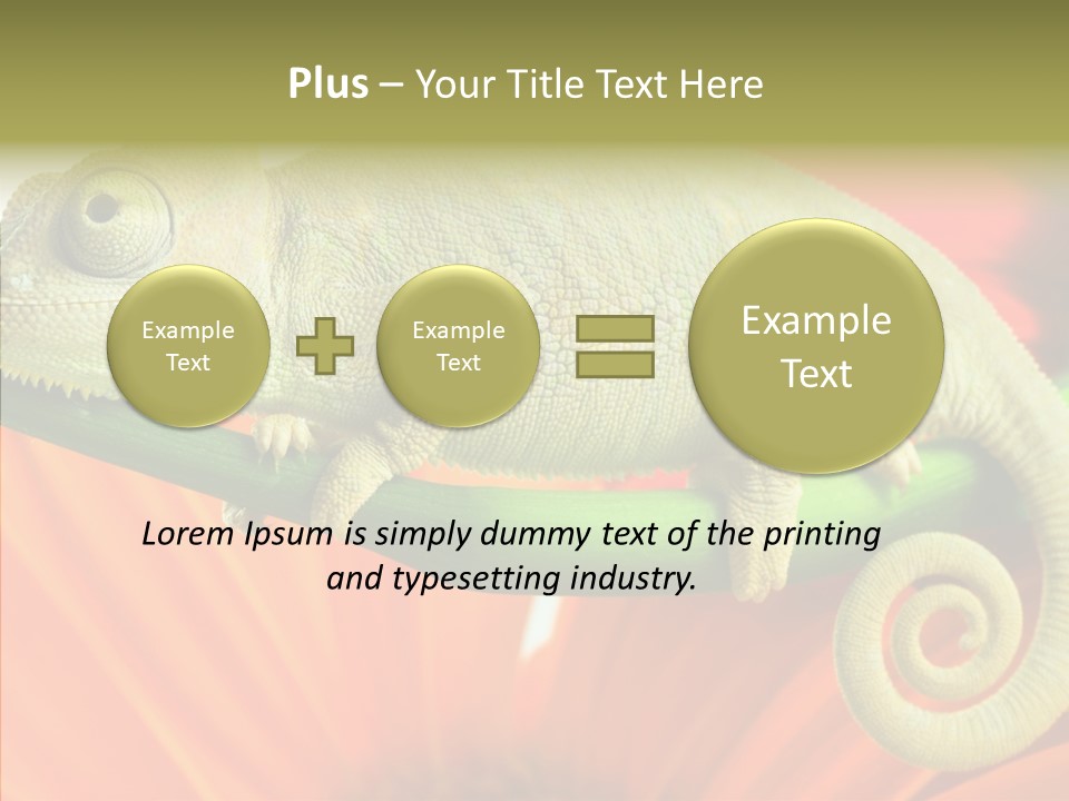 Chameleon On Flower. Isolation On White PowerPoint Template