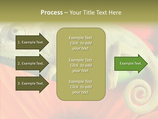 Chameleon On Flower. Isolation On White PowerPoint Template