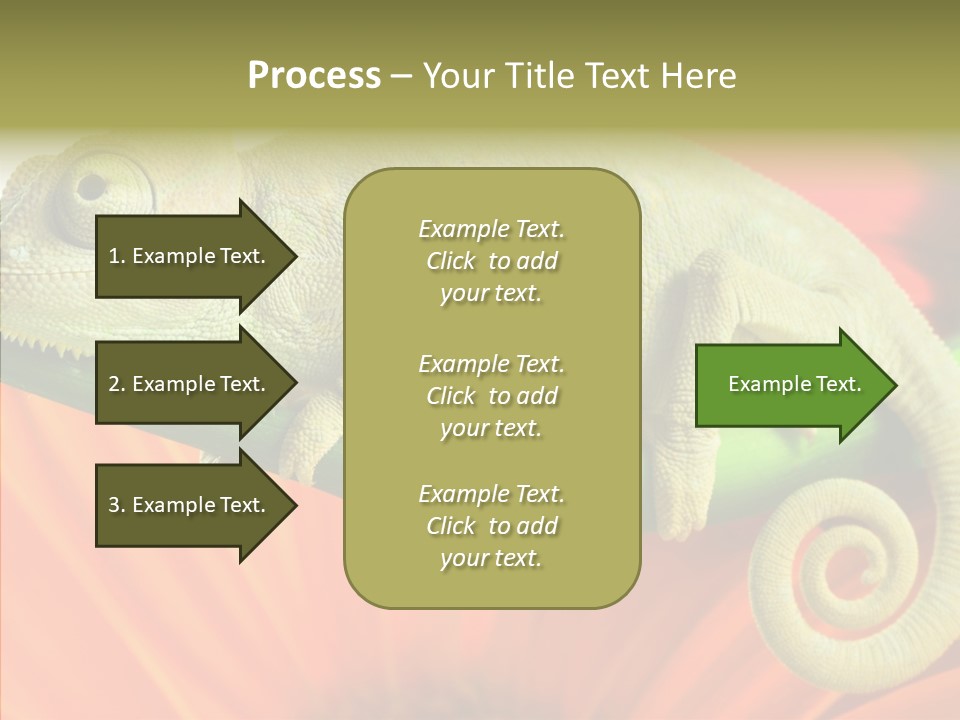 Chameleon On Flower. Isolation On White PowerPoint Template