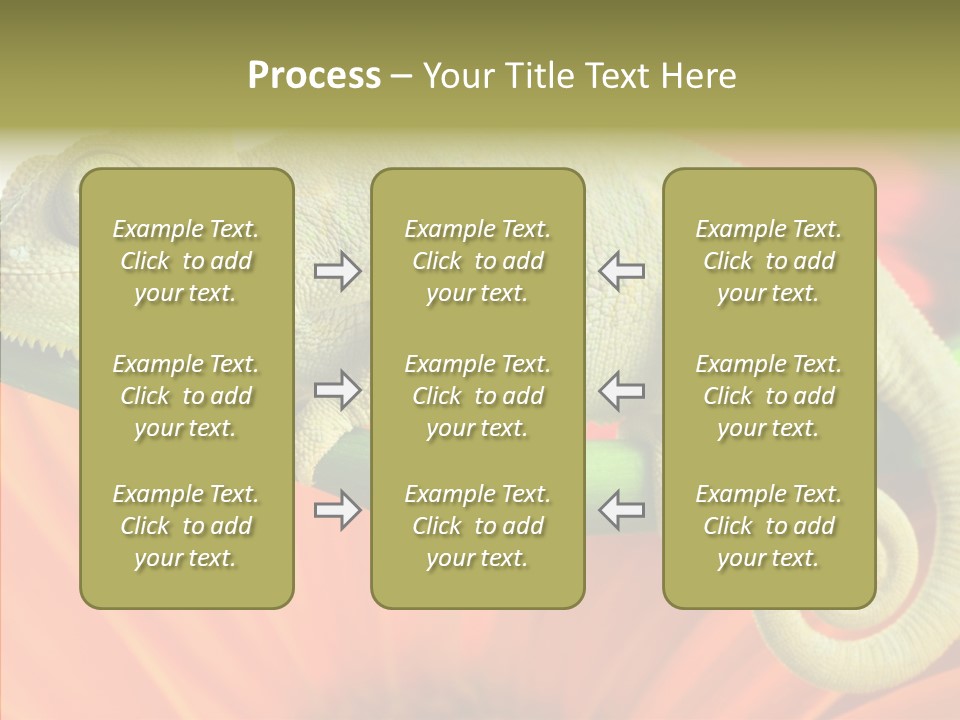 Chameleon On Flower. Isolation On White PowerPoint Template