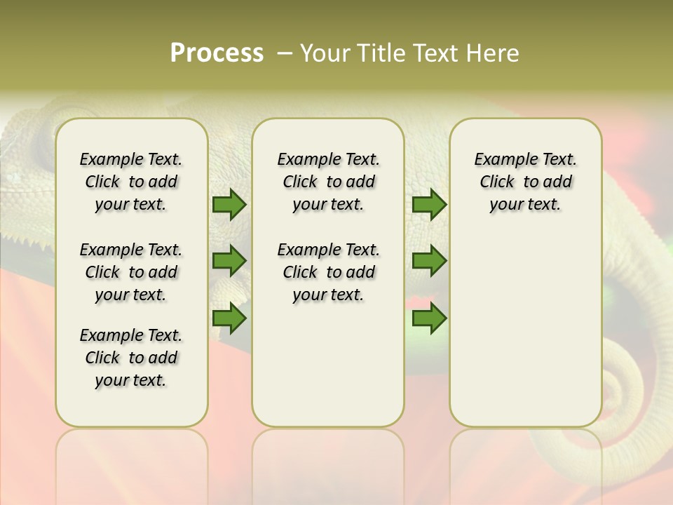 Chameleon On Flower. Isolation On White PowerPoint Template