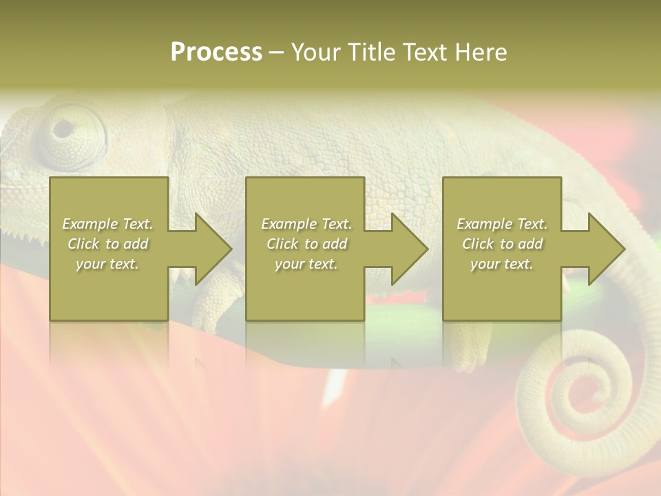 Chameleon On Flower. Isolation On White PowerPoint Template
