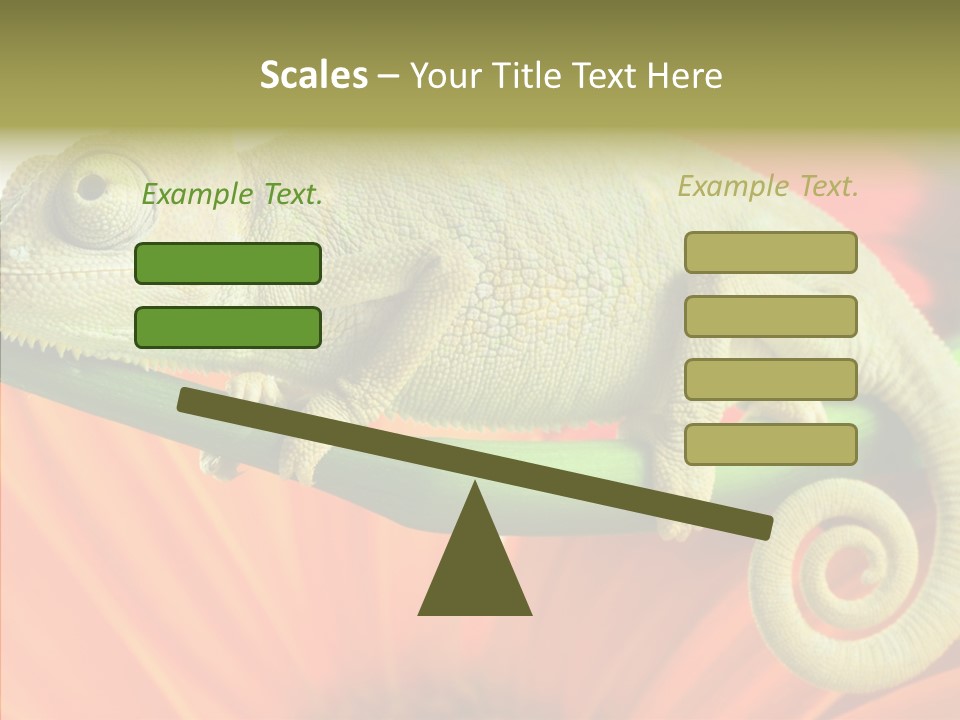 Chameleon On Flower. Isolation On White PowerPoint Template