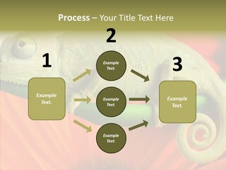Chameleon On Flower. Isolation On White PowerPoint Template