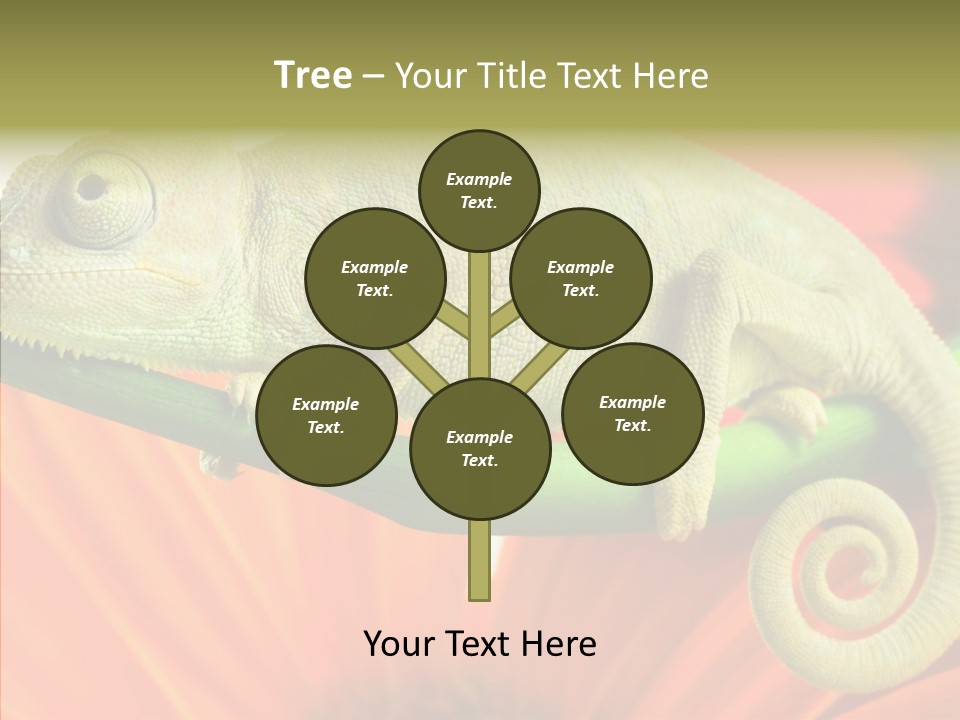 Chameleon On Flower. Isolation On White PowerPoint Template