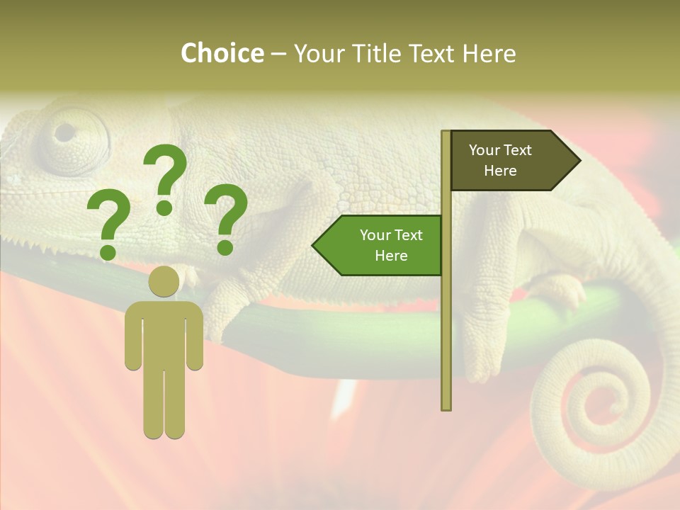 Chameleon On Flower. Isolation On White PowerPoint Template