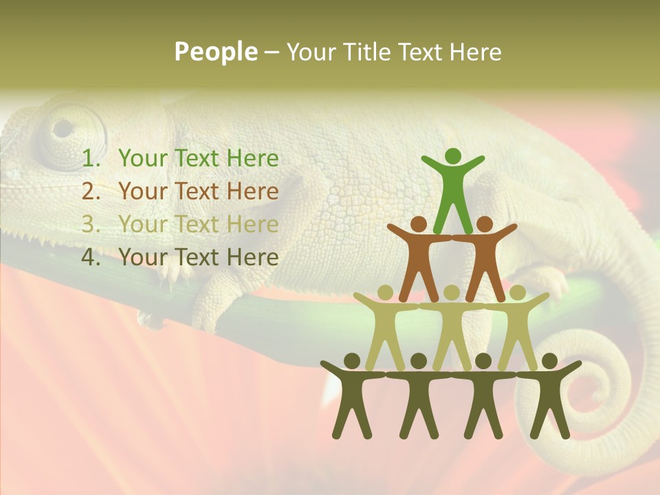 Chameleon On Flower. Isolation On White PowerPoint Template