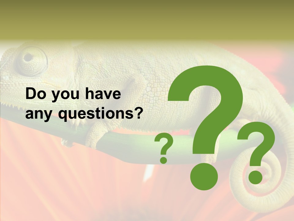 Chameleon On Flower. Isolation On White PowerPoint Template