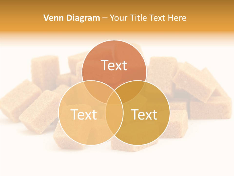 Conference Per On Bu Ine PowerPoint Template