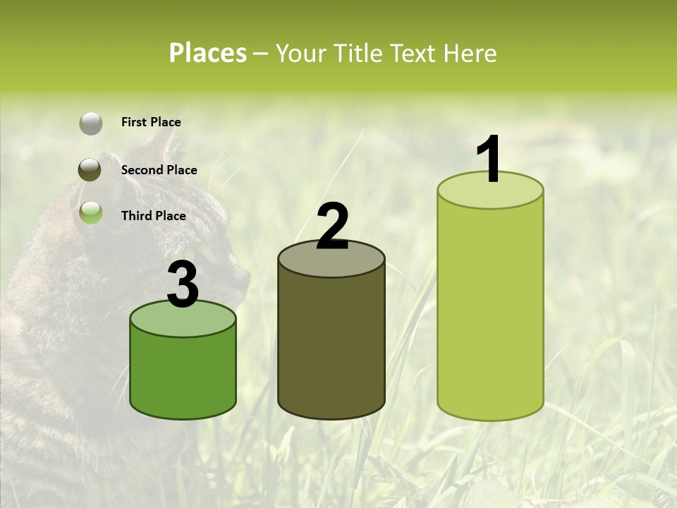 Kitten Garden Summer PowerPoint Template