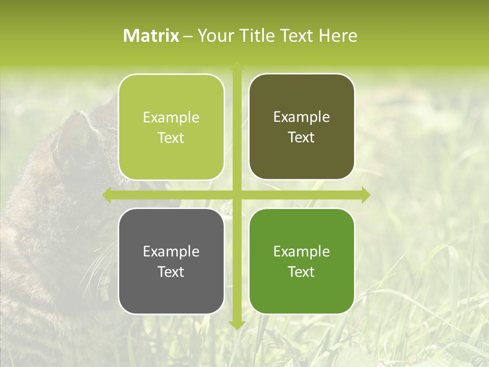 Kitten Garden Summer PowerPoint Template