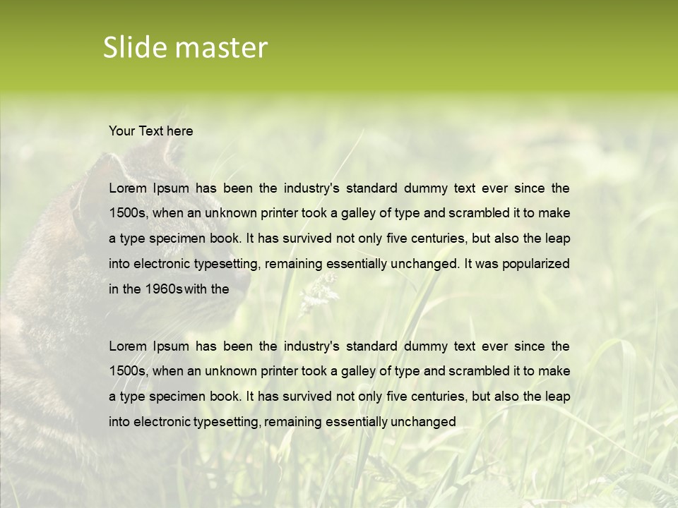 Kitten Garden Summer PowerPoint Template