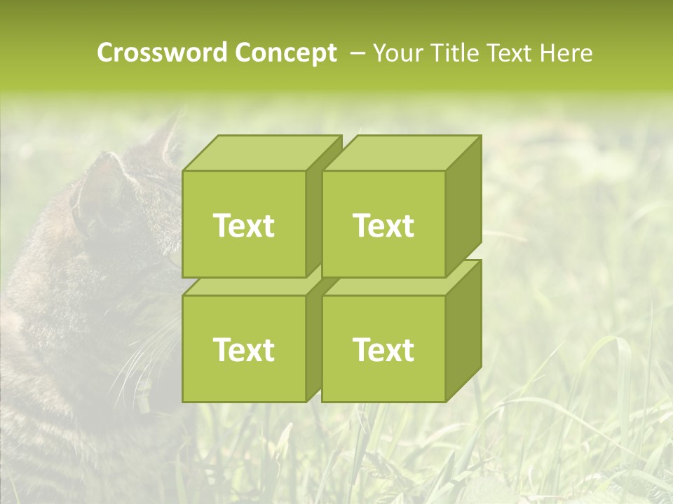 Kitten Garden Summer PowerPoint Template