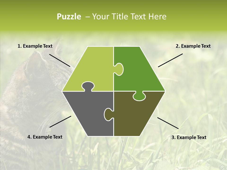 Kitten Garden Summer PowerPoint Template