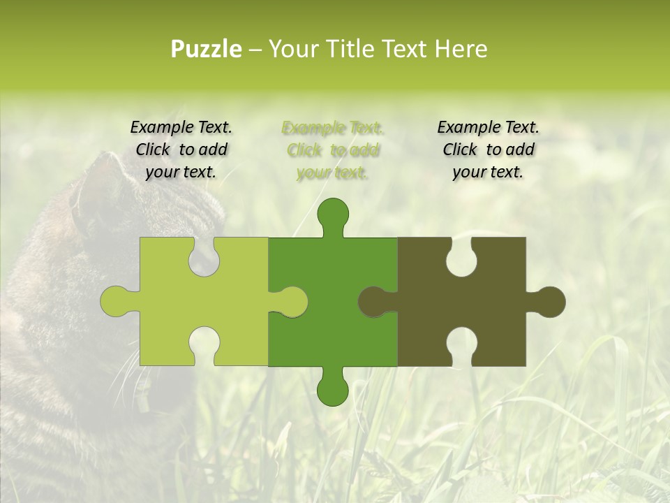 Kitten Garden Summer PowerPoint Template