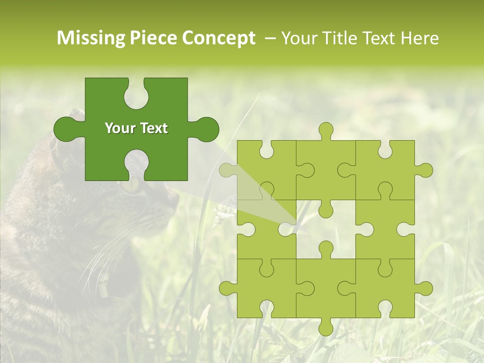 Kitten Garden Summer PowerPoint Template