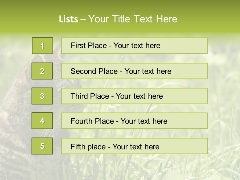 Kitten Garden Summer PowerPoint Template
