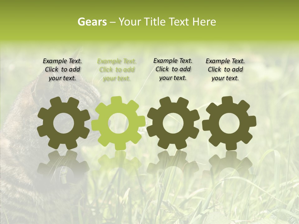 Kitten Garden Summer PowerPoint Template