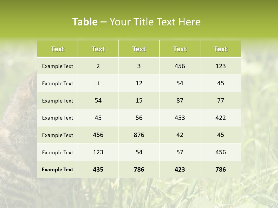 Kitten Garden Summer PowerPoint Template