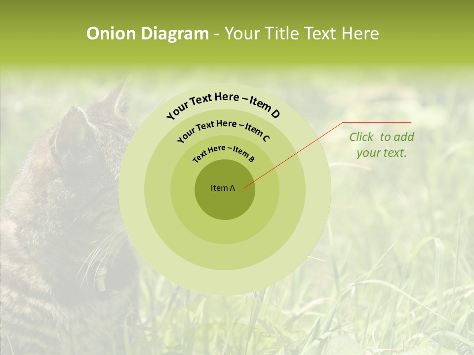 Kitten Garden Summer PowerPoint Template