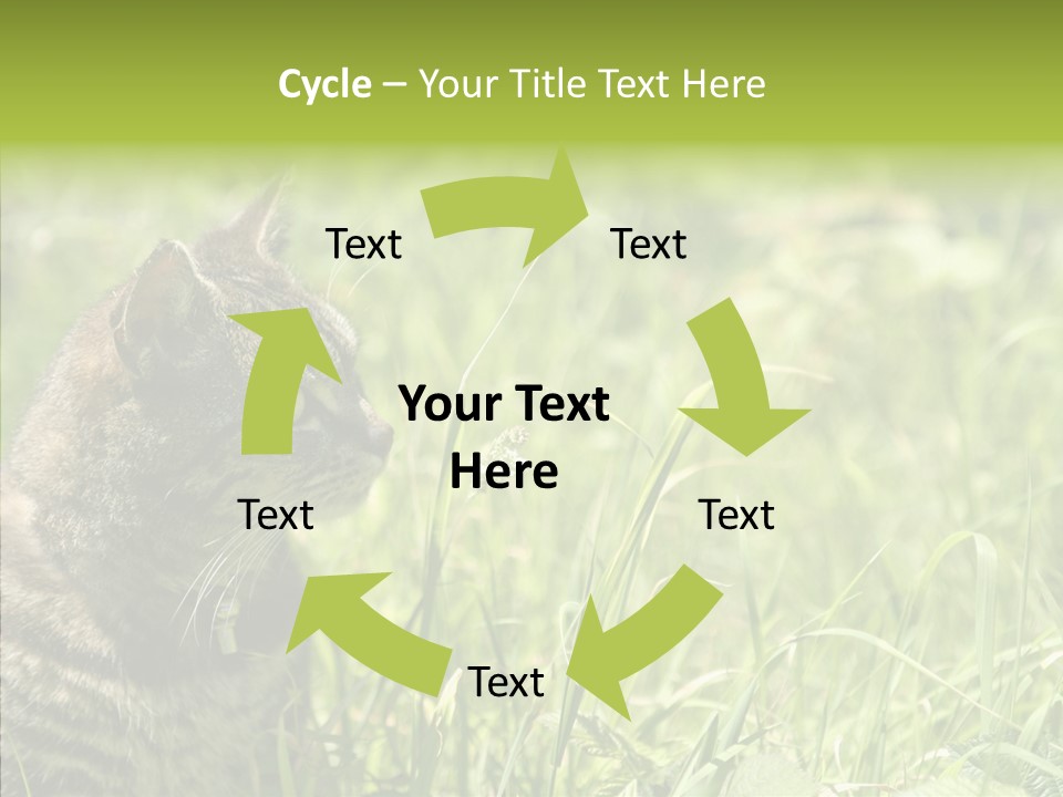 Kitten Garden Summer PowerPoint Template