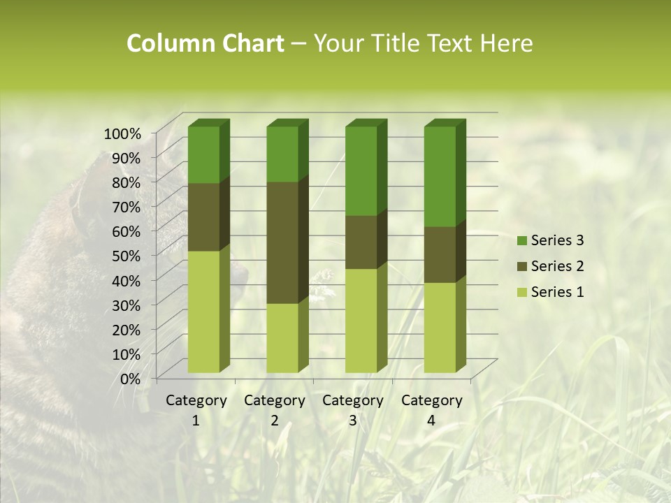 Kitten Garden Summer PowerPoint Template