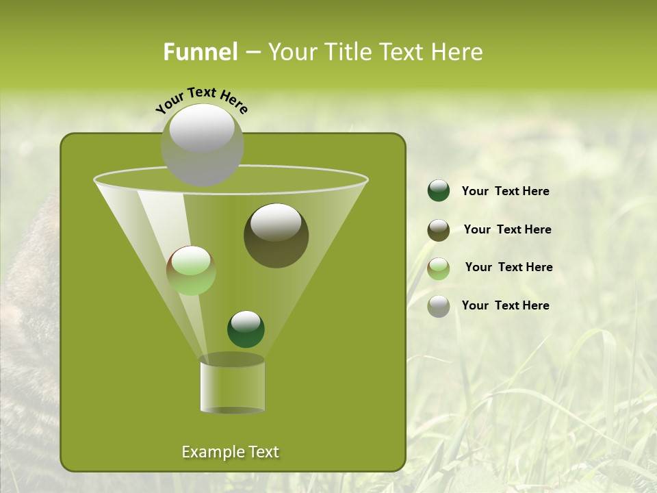 Kitten Garden Summer PowerPoint Template