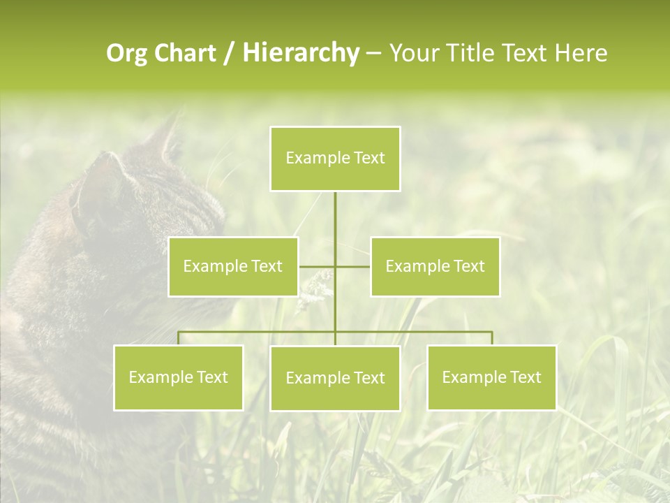 Kitten Garden Summer PowerPoint Template