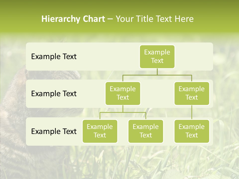 Kitten Garden Summer PowerPoint Template