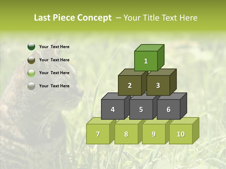 Kitten Garden Summer PowerPoint Template