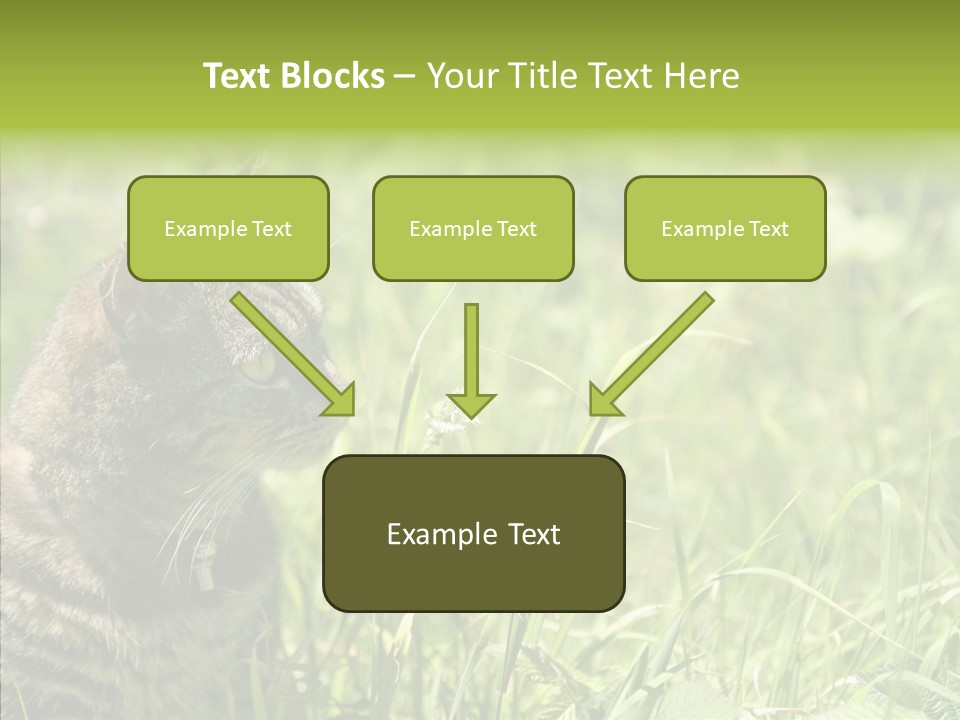 Kitten Garden Summer PowerPoint Template